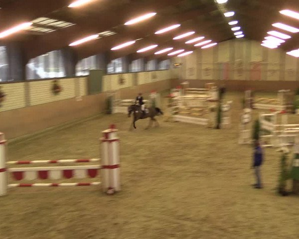 Reitturnier Hamm-Rhynern 2016