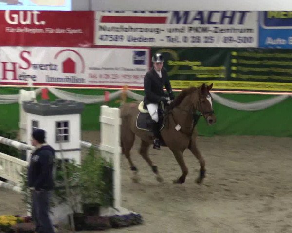 Keppelner Springpferdemeeting 2016