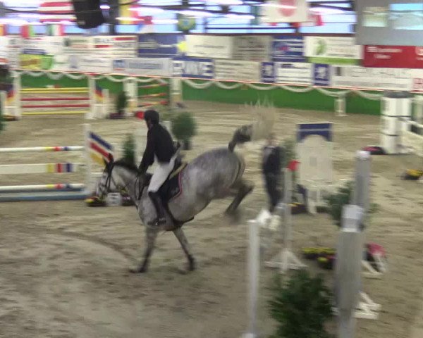 Keppelner Springpferdemeeting 2016