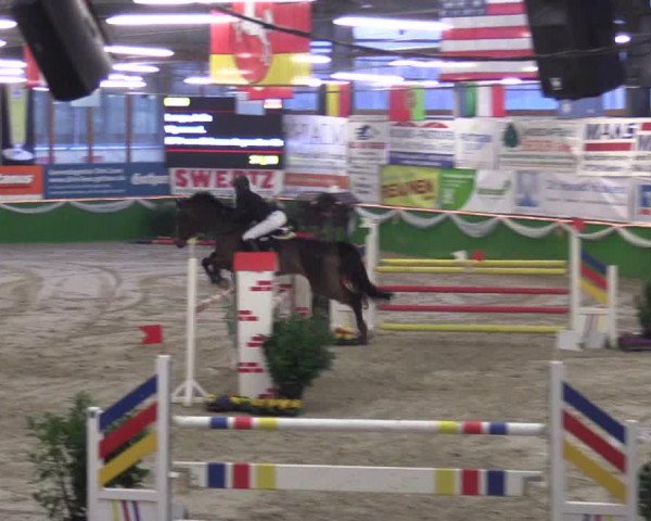 Keppelner Springpferdemeeting 2016