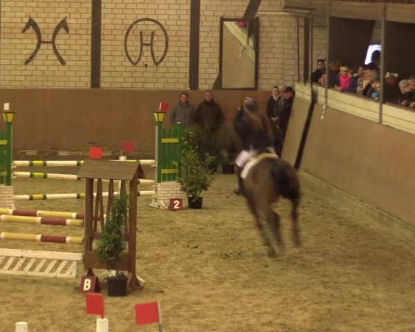 Reitturnier Hamm-Rhynern 2016