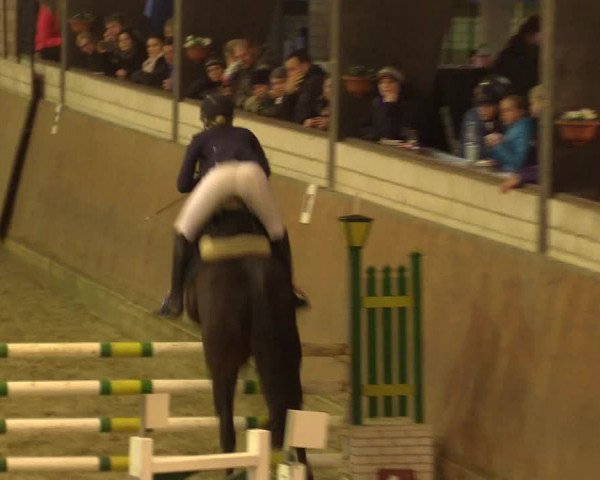 Reitturnier Hamm-Rhynern 2016