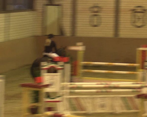 Reitturnier Hamm-Rhynern 2016