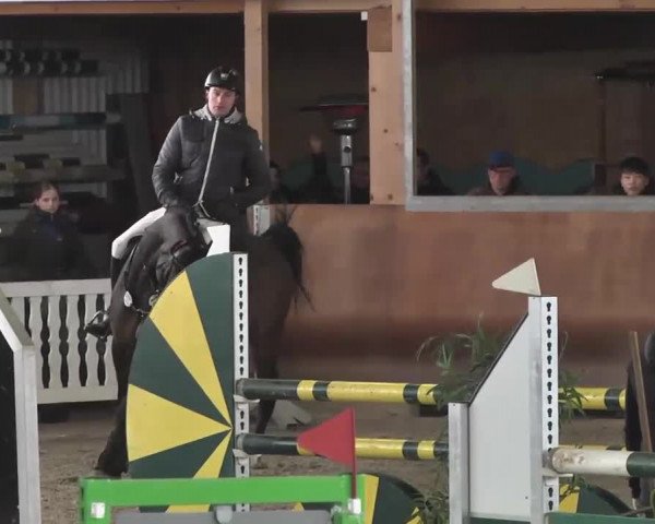 Reitturnier Dettingen 2016