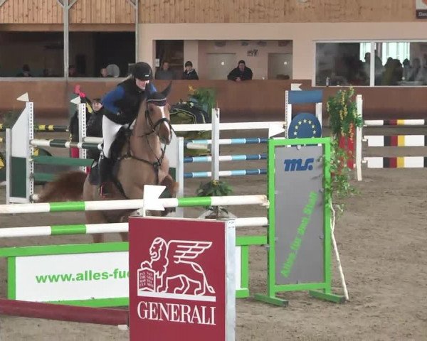 Reitturnier Dettingen 2016