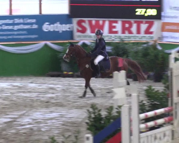 Keppelner Springpferdemeeting 2016