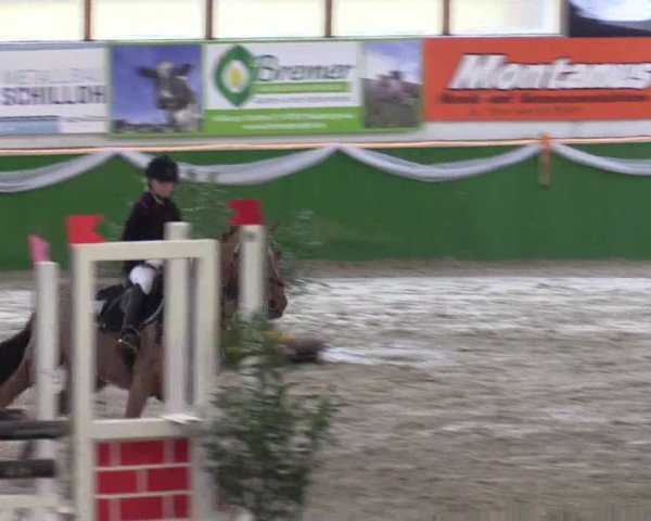 Keppelner Springpferdemeeting 2016