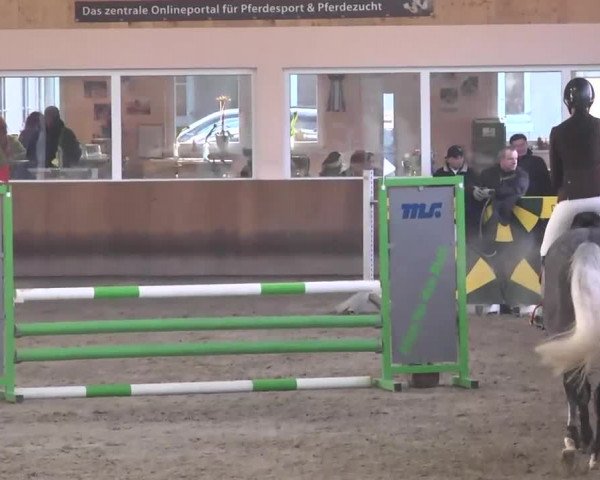 Reitturnier Dettingen 2016