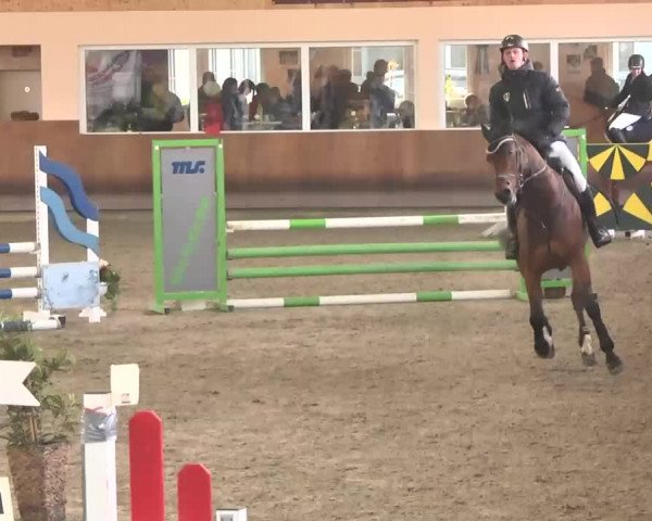 Reitturnier Dettingen 2016