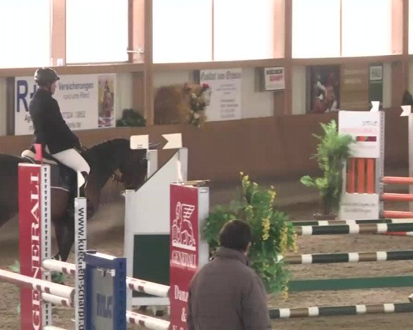 Reitturnier Dettingen 2016