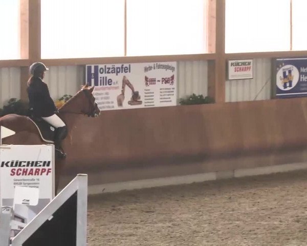 Reitturnier Dettingen 2016