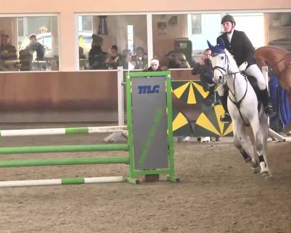 Reitturnier Dettingen 2016