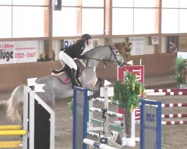 Reitturnier Dettingen 2016