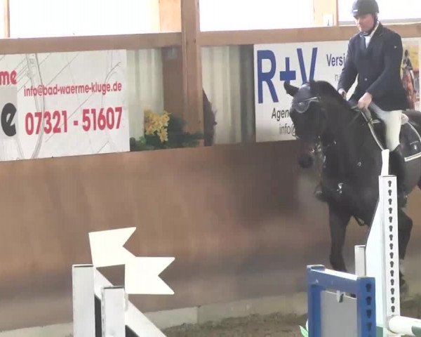 Reitturnier Dettingen 2016