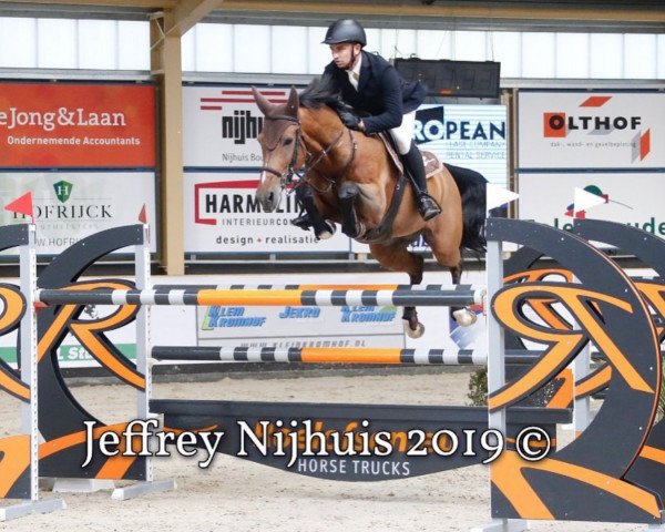 broodmare Space Girl 4 (Oldenburg show jumper, 2010, from Spaceball)