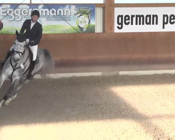 Reitturnier Dettingen 2016