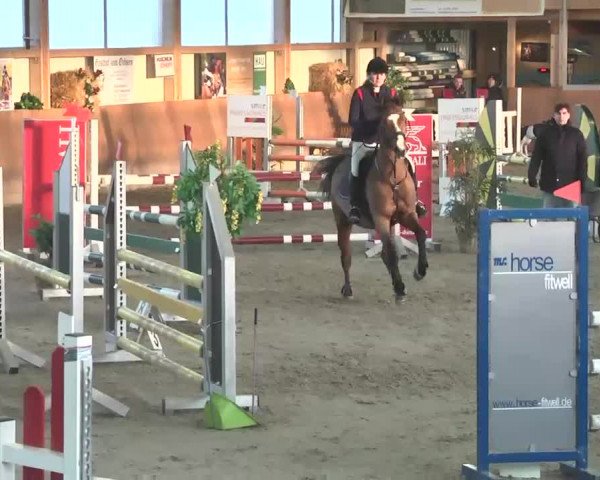 Reitturnier Dettingen 2016