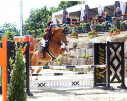 Springpferd Hötzenhof Aurelio (Deutsches Reitpony, 2012, von Kanshebber)
