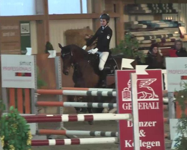 Reitturnier Dettingen 2016