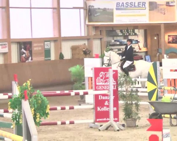 Reitturnier Dettingen 2016