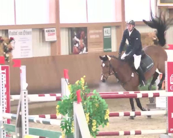 Reitturnier Dettingen 2016