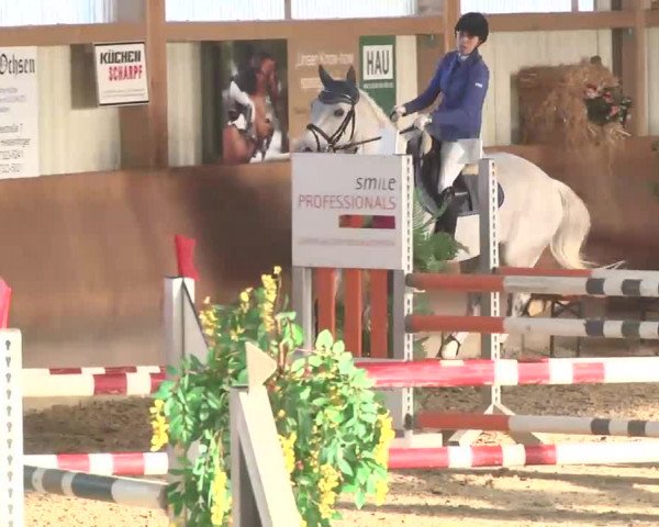 Reitturnier Dettingen 2016