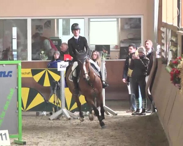 Reitturnier Dettingen 2016