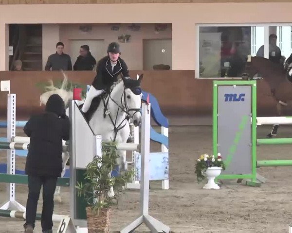 Reitturnier Dettingen 2016