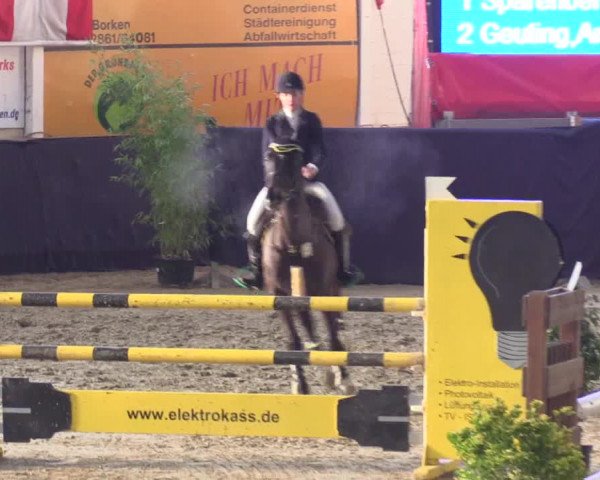Reitturnier Borken 2016