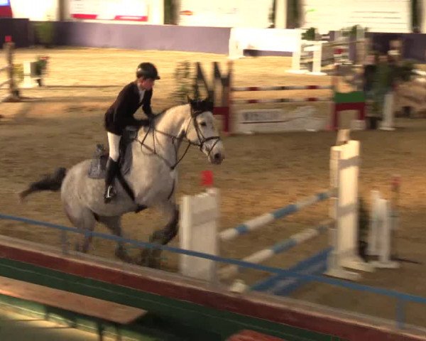 Reitturnier Borken 2016