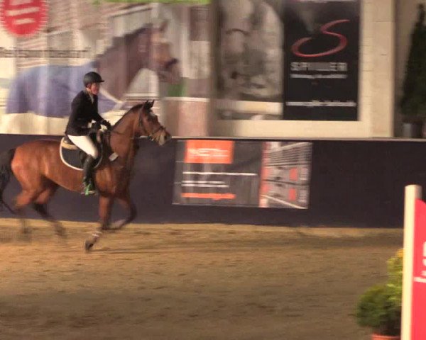 Reitturnier Borken 2016