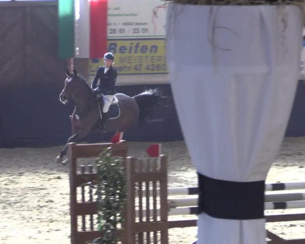 Reitturnier Borken 2016