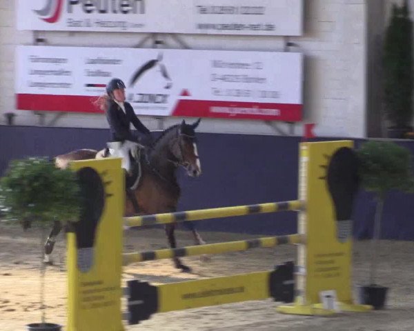 Reitturnier Borken 2016