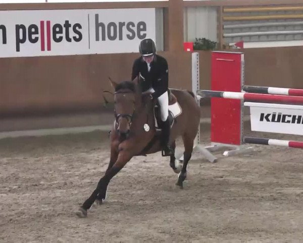 Reitturnier Dettingen 2016