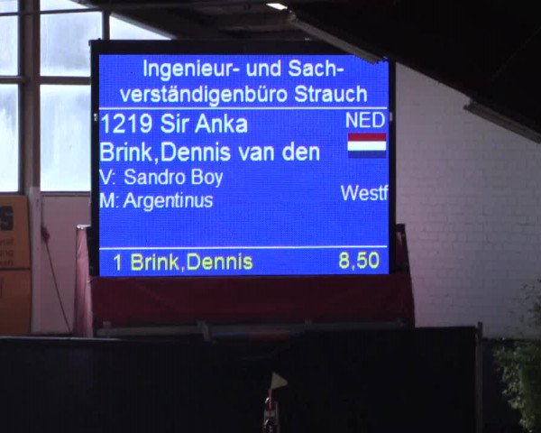 Reitturnier Borken 2016