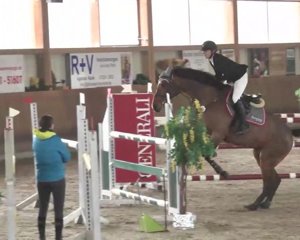 Reitturnier Dettingen 2016
