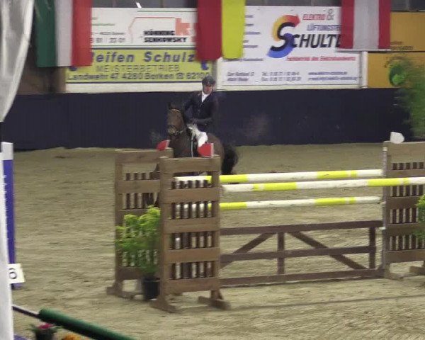 Reitturnier Borken 2016