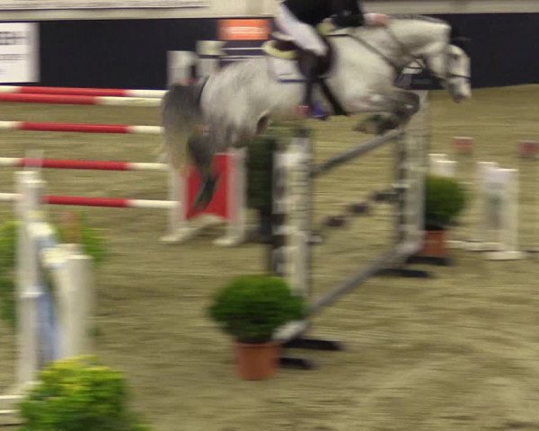 Reitturnier Borken 2016