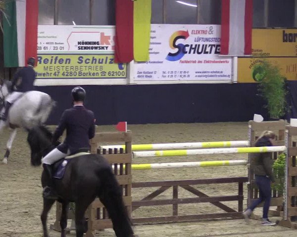 Reitturnier Borken 2016