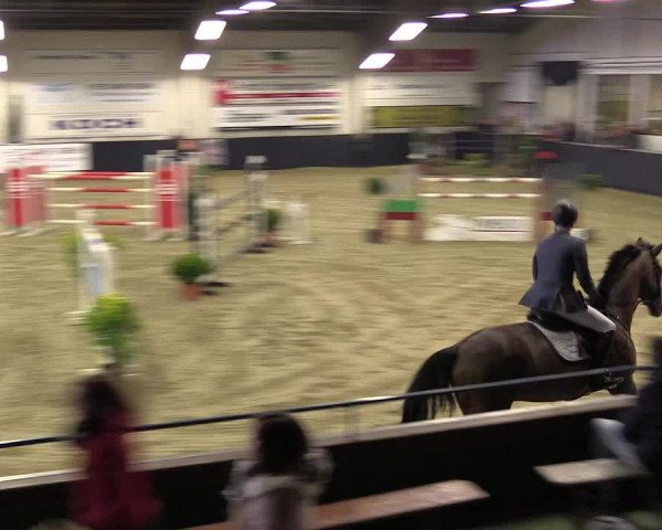Reitturnier Borken 2016