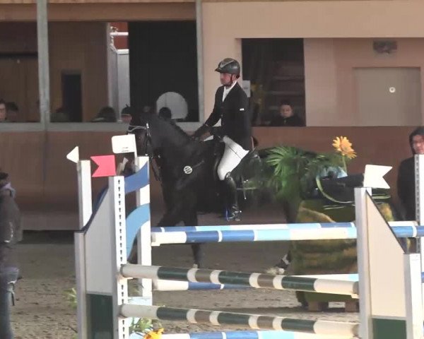 Reitturnier Dettingen 2016