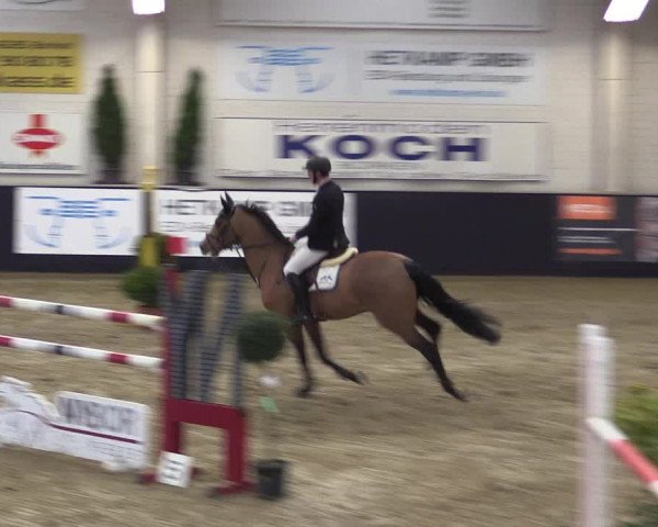 Reitturnier Borken 2016