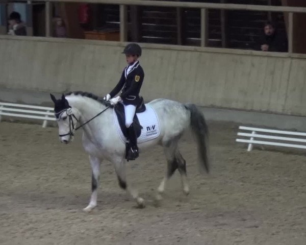 Reitturnier Heidelberg-Kirchheim 2016