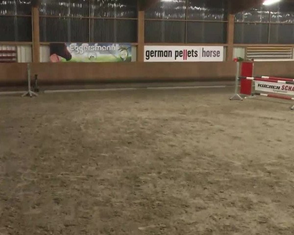 Reitturnier Dettingen 2016