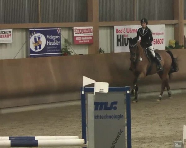 Reitturnier Dettingen 2016