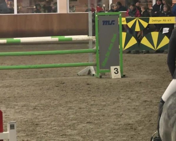 Reitturnier Dettingen 2016