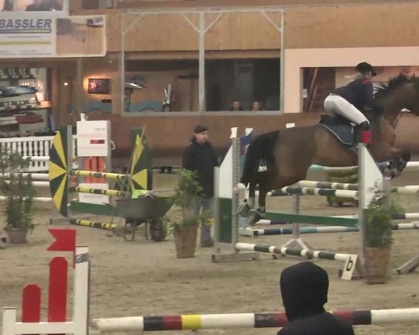 Reitturnier Dettingen 2016