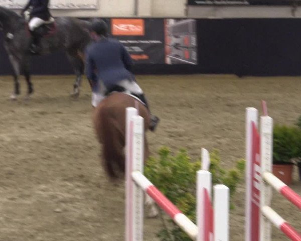 Reitturnier Borken 2016
