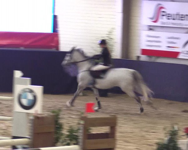 Reitturnier Borken 2016
