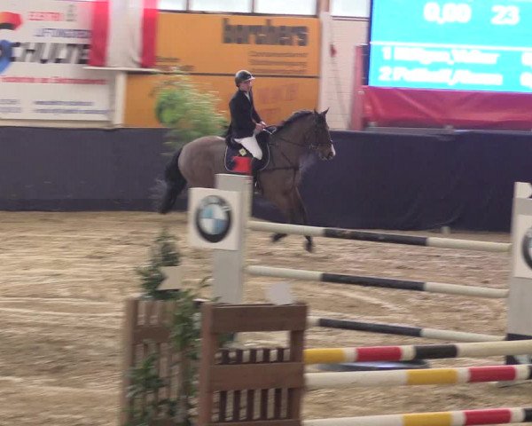 Reitturnier Borken 2016